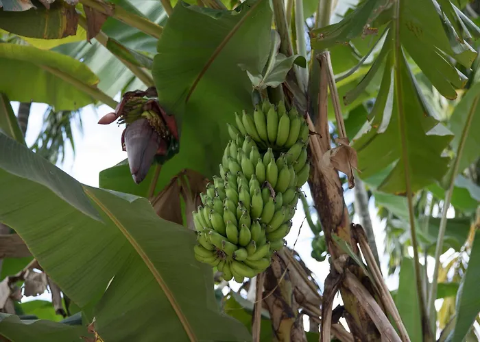 Kwatera prywatna Chansor 12 By Homesteading