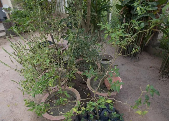Kwatera prywatna Chansor 12 By Homesteading Siem Reap