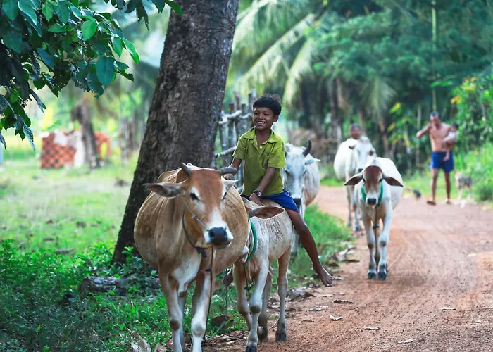 Kwatera prywatna Chansor 12 By Homesteading Siem Reap