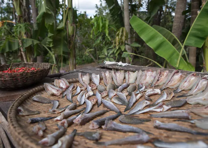 Kwatera prywatna Chansor 12 By Homesteading Siem Reap
