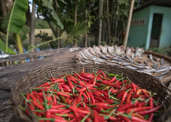 Chansor 12 By Homesteading Siem Reap