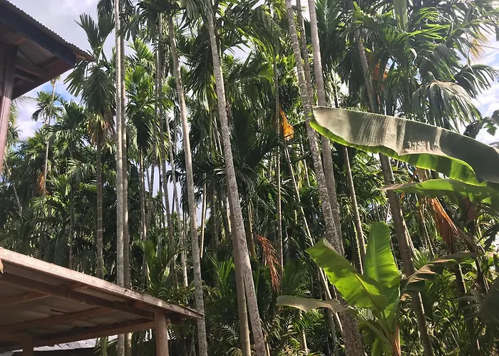 Kwatera prywatna Chansor 12 By Homesteading Siem Reap