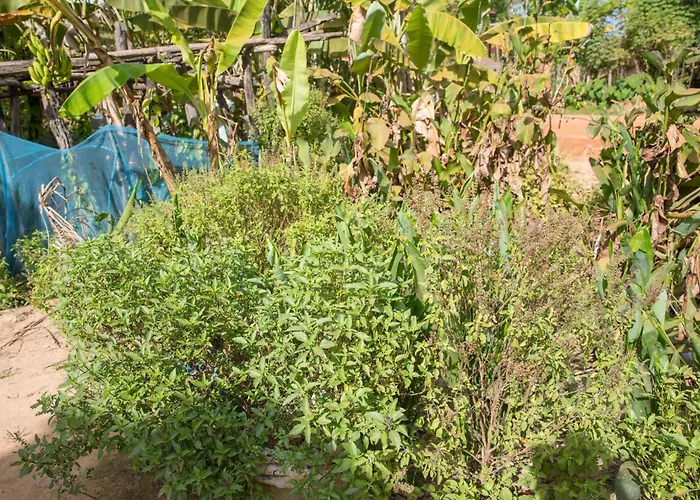 Kwatera prywatna Chansor 12 By Homesteading Siem Reap